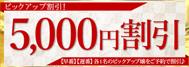 ピックアップ割引!